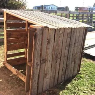 Pallet goat house is so easy to make!