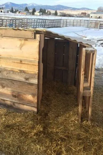 Pallet goat house fortified with more boards to keep out the wind