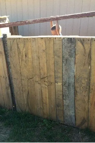 Pallet boards screwed closely together on the backside of a pallet goat shelter