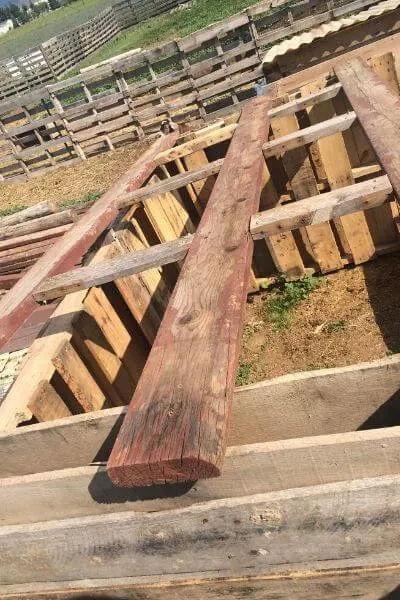 Roof stringers for pallet goat shelter