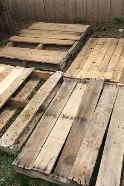 Tearing a pallet apart for a goat pallet shelter