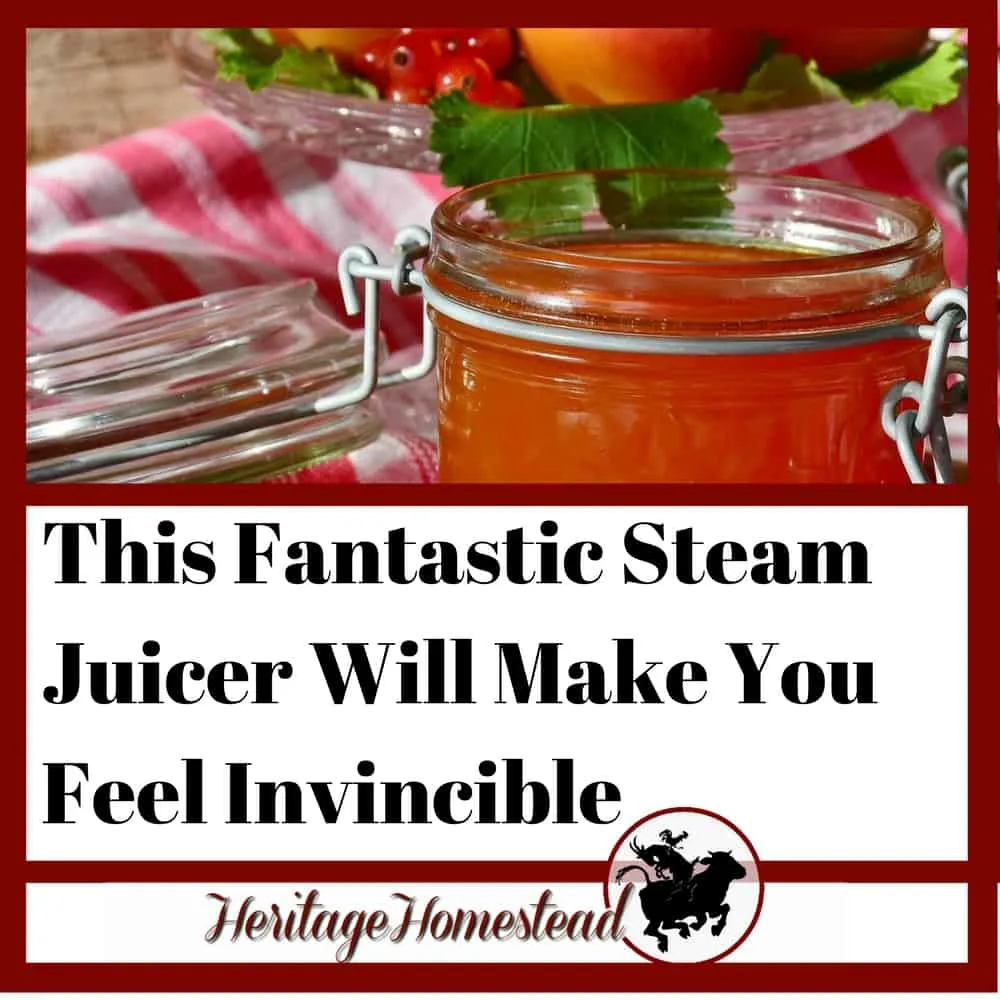 Inside: A steam juicer is a must in any canning kitchen. These questions answered! What is it, how does it work, which fruits, pros, cons, instructions, and tips.