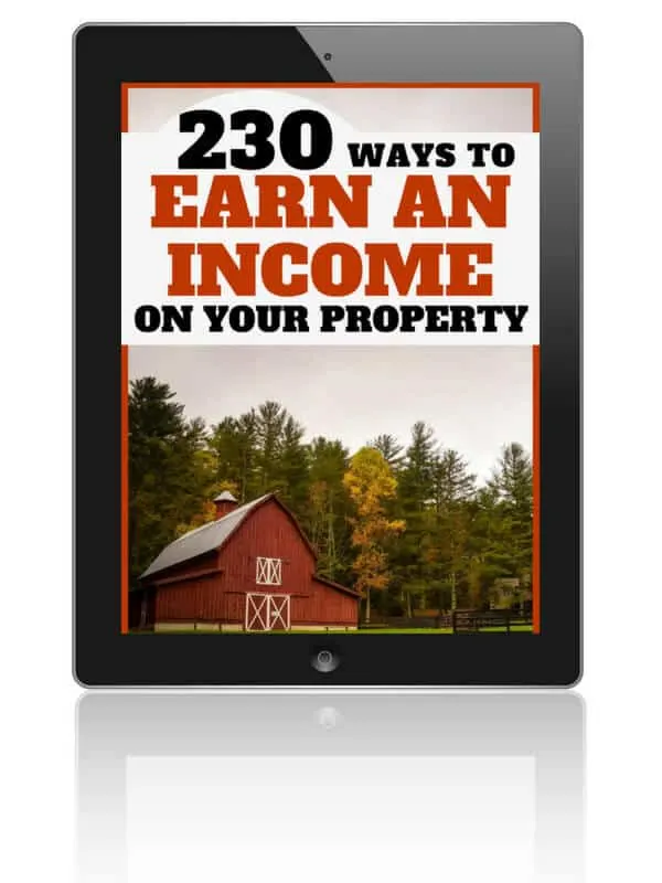 You can earn money on your property. Here are 230 ideas to help you get started!