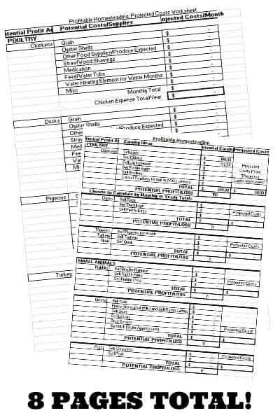 8 pages of projected costs for homesteaders. Planning out a profitable homesteading year