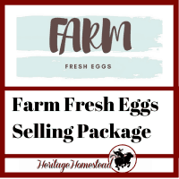 Farm fresh Eggs