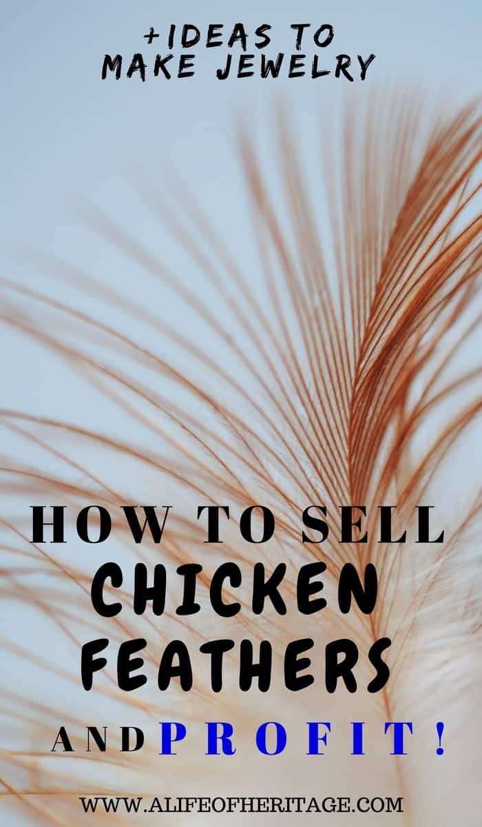 How to Sell Chicken Feathers (+Ideas to Make Jewelry!)