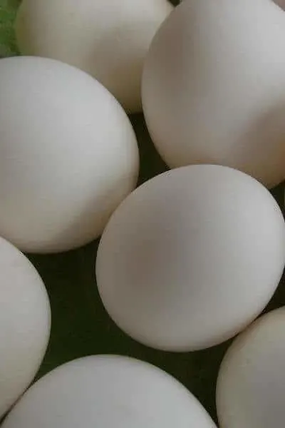 Duck eggs on table