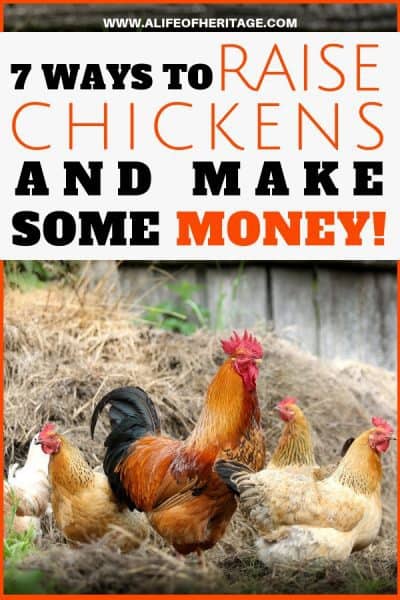 Chicken Rich: 7 Ways to Turn a Profit With Chickens