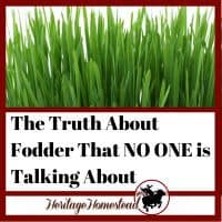 Growing Fodder for Animals