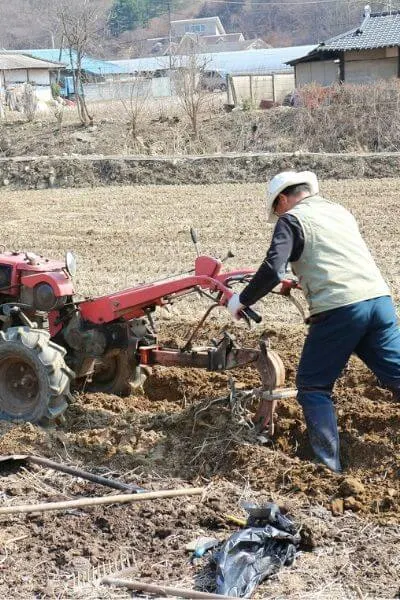 Tilling a garden is harmful to the soil health