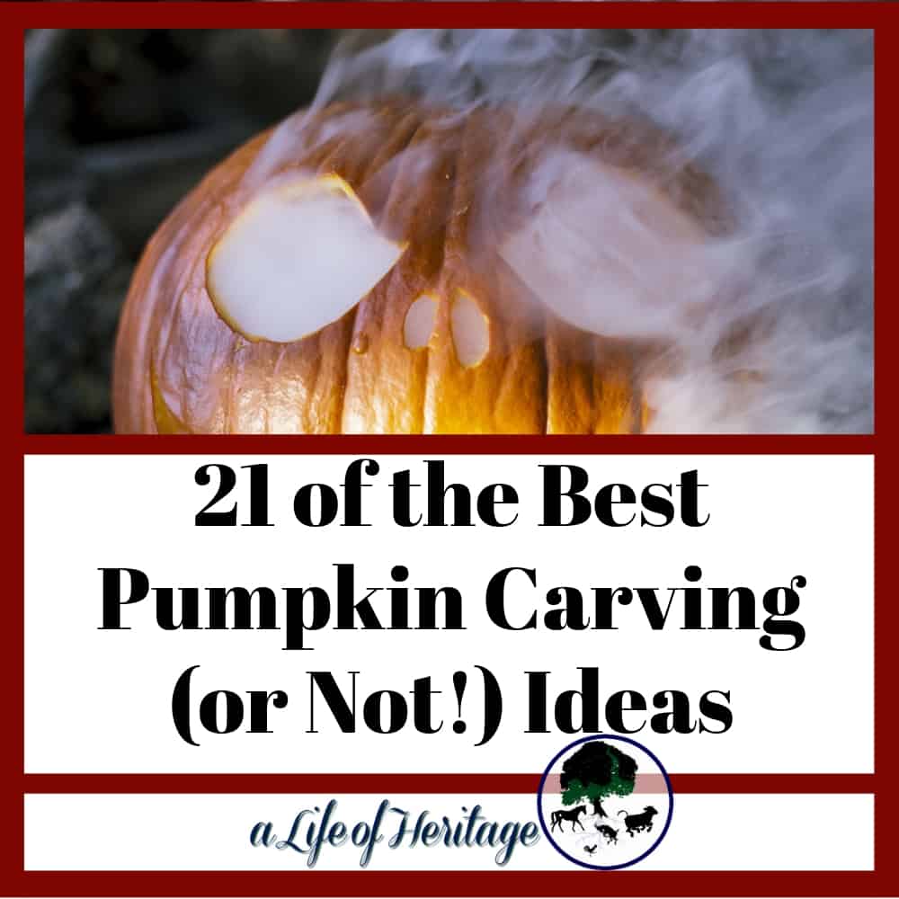 These pumpkin ideas will give you great ideas for fall this year! Get inspired!