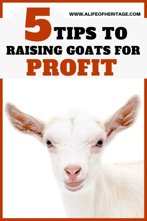 Raise goats for profit with these 5 tips. Free video course with PDF's and information!