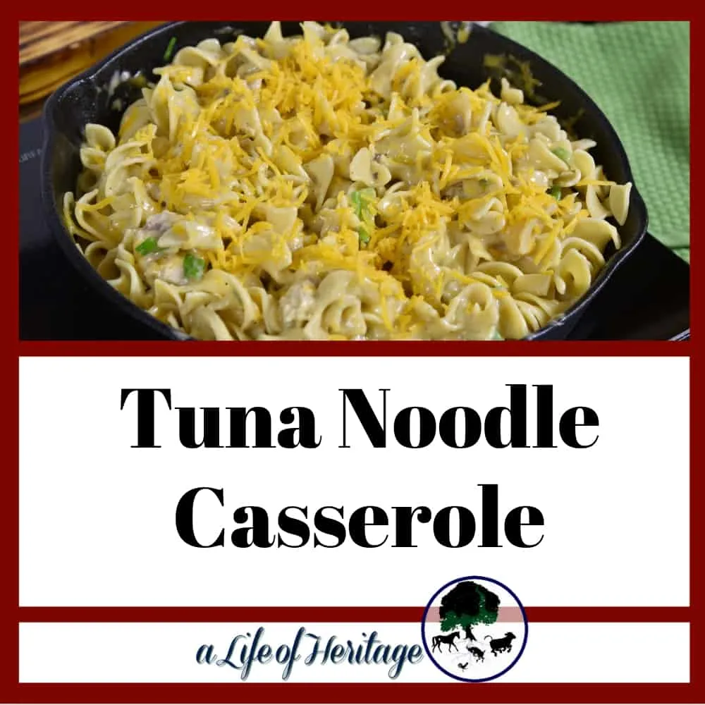 A tuna noodle casserole that is easy and so delicious! And is low cost!