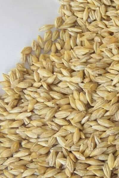 Barley grain can be a grain that goats eat.