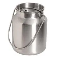 Stainless Steel Gallon Jug, Silver