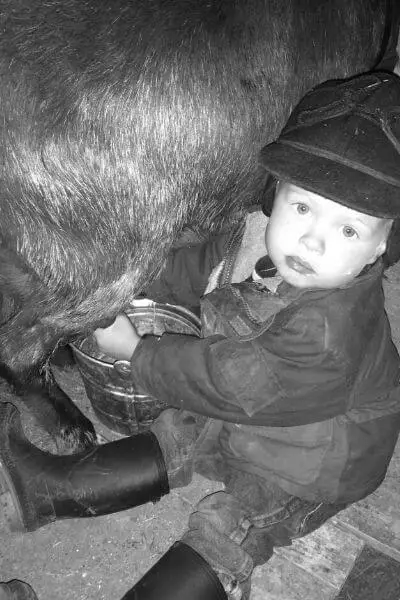 3 year old milking a goat. Is raw milk safe for young kids?