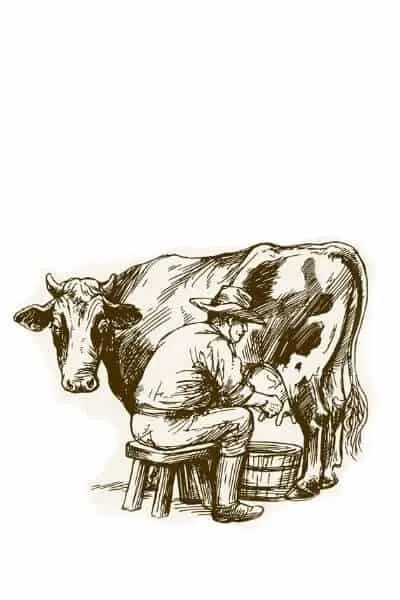 Man milking cow. He knows raw milk is safe. Do you?