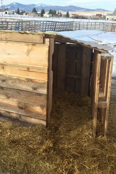 Pallet goat shelter in the goat pen