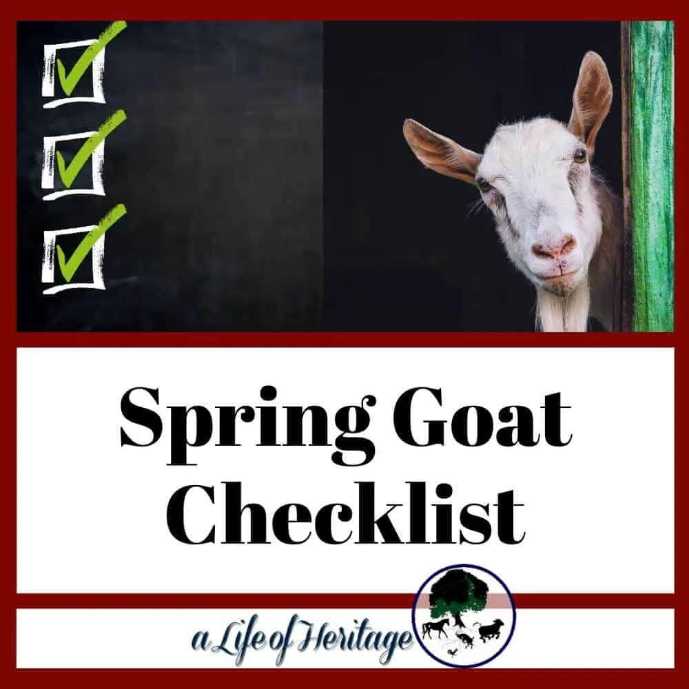 Get your spring goat checklist ready