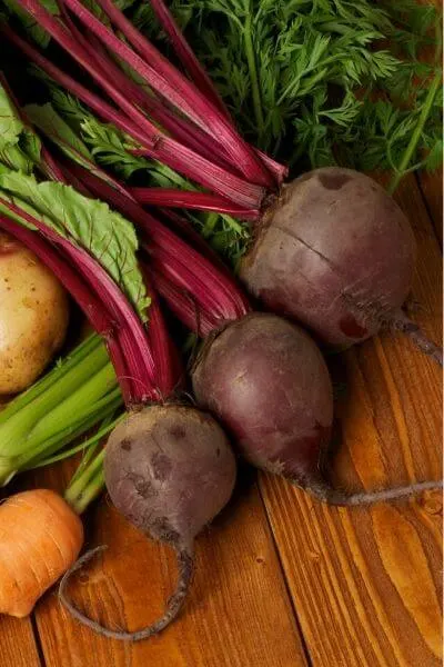 Beets are yummy and grow fast!