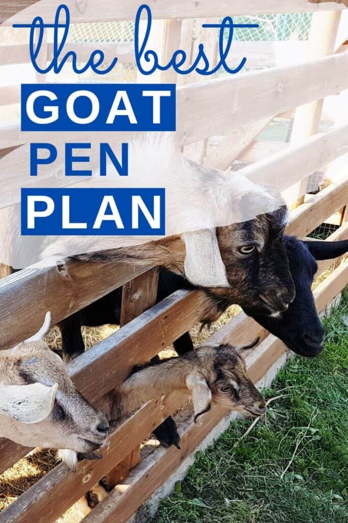 Goat pen plan