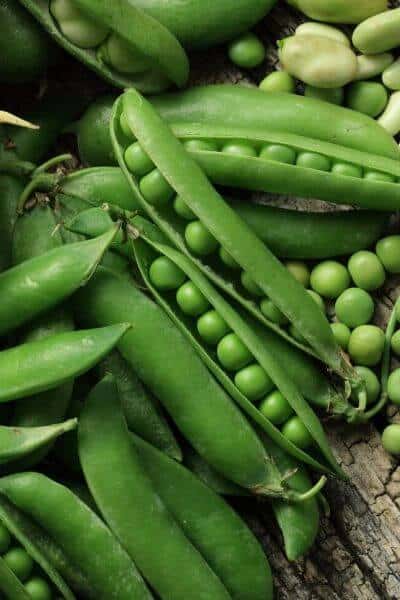 Peas are one of the best tasting vegetable in the garden and they are a fast growing vegetable too!