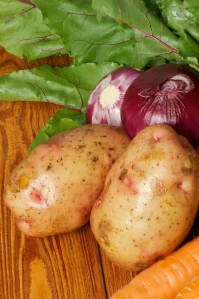 Potatoes are a must in any garden! They produce a great harvest quickly!
