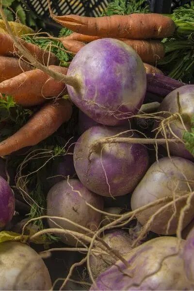 Turnips are an easy vegetable to grow and are a great spring vegetable. 
