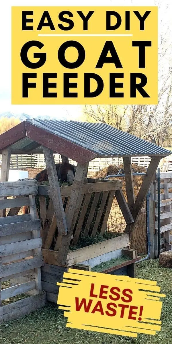 Easy diy goat feeder made with mostly pallets