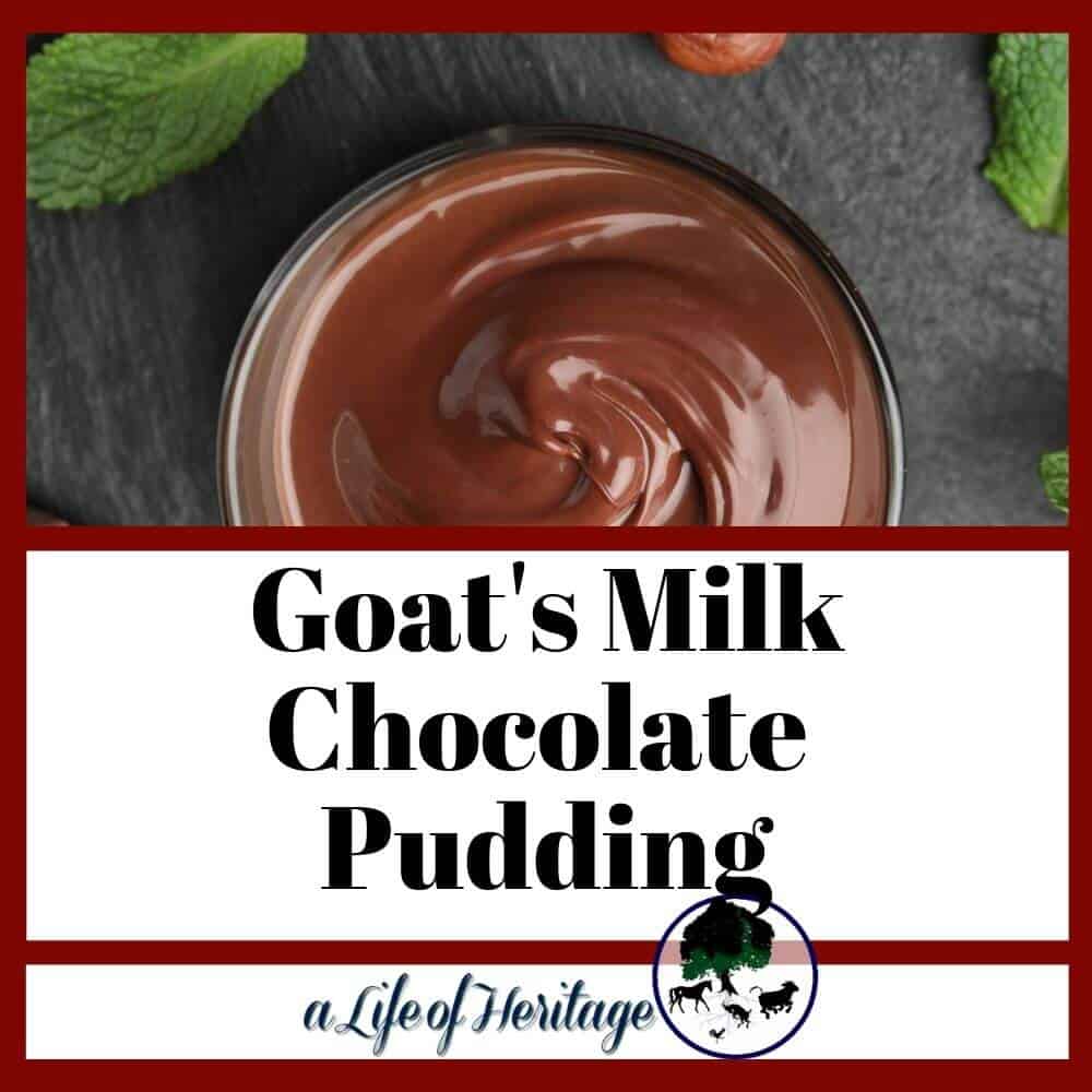 Goat's milk chocolate pudding
