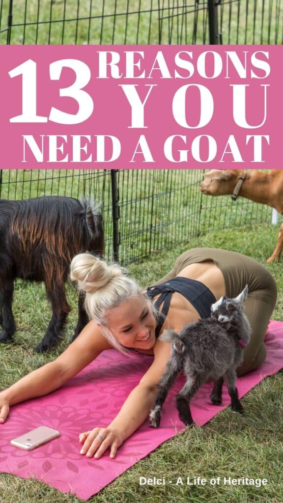13 Reasons YOU Need a Goat...for REAL! A Life of Heritage