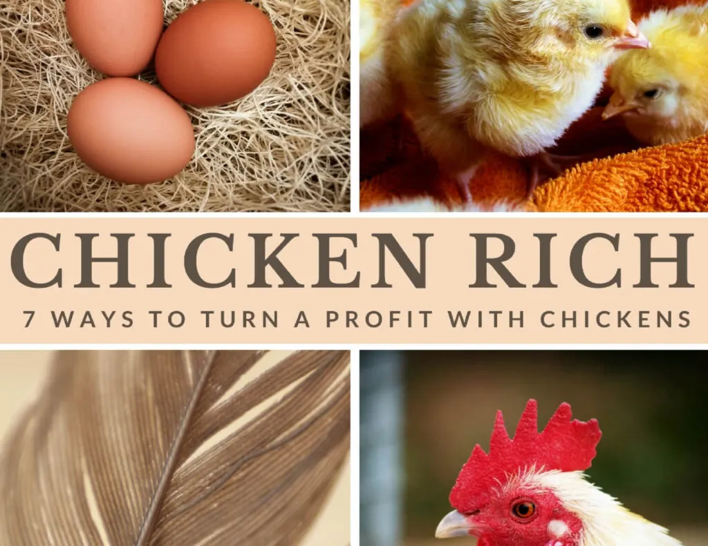 Chicken rich