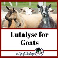 lutalyse for goats