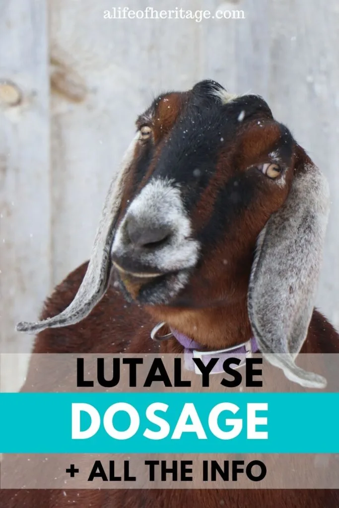 find out the dosage of lutalyse for goats