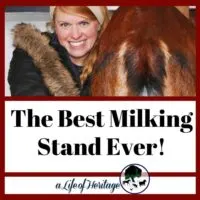 this is an awesome DIY milking stand to build!