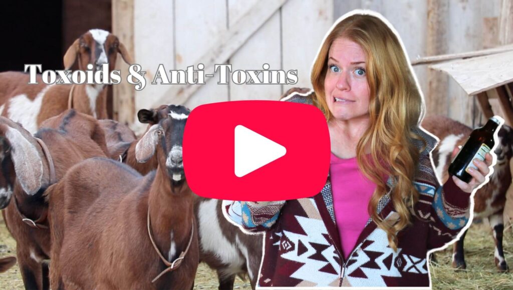 watch this video about toxoids and anti-toxins for goats here