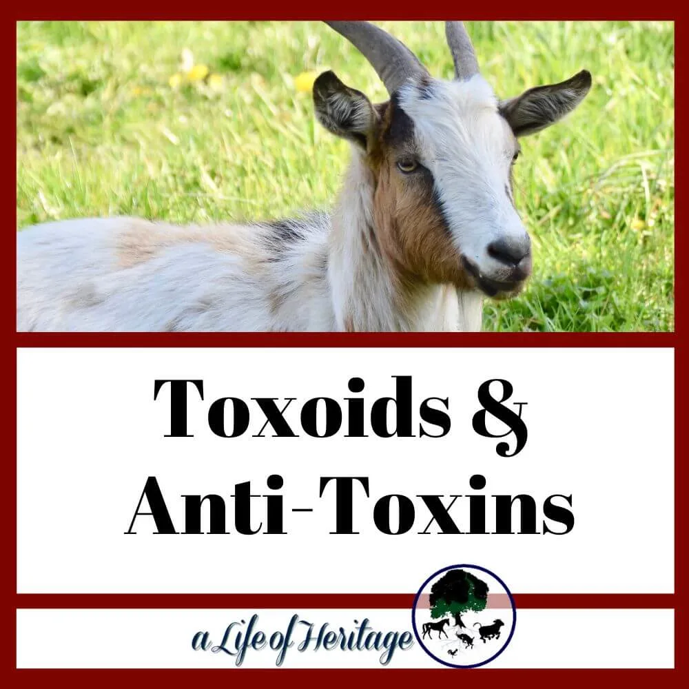 find out about toxoids and anti-toxins