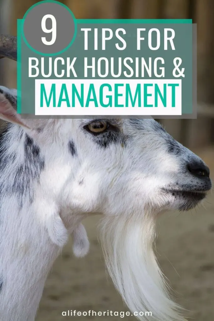 9 tips for managing bucks