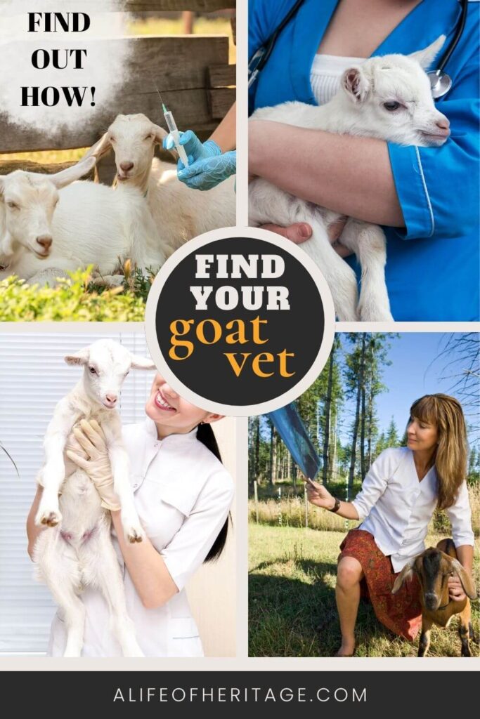 Learn how to find your goat vet
