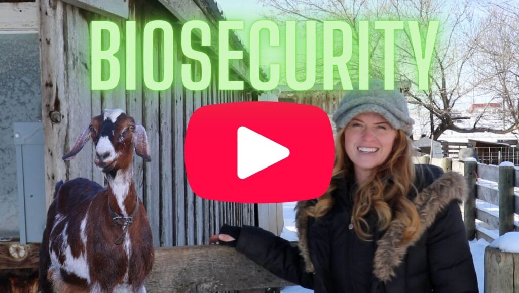 biosecurity on your goat farm is really important. Watch this video all about it!