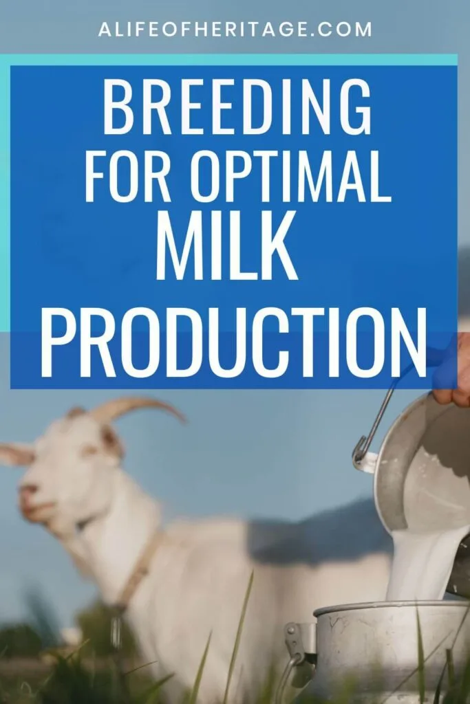 learn about what it takes to breed for milk production