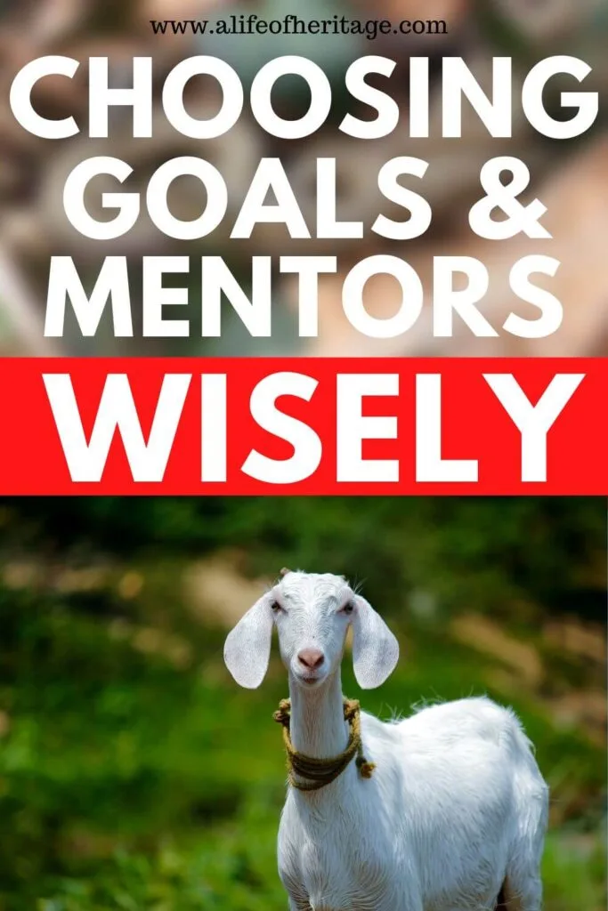 when making goals and choosing mentors, choose wisely