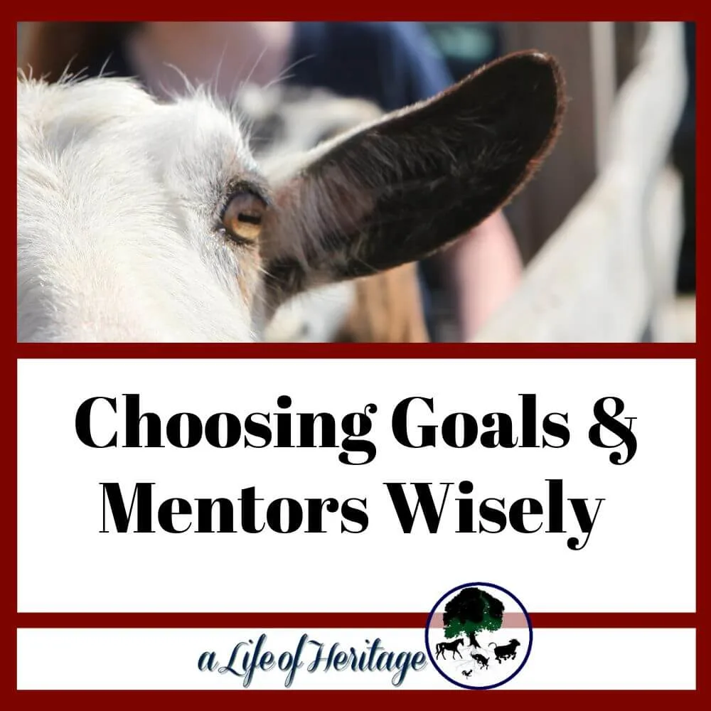 Choose mentors and goals wisely when raising goats
