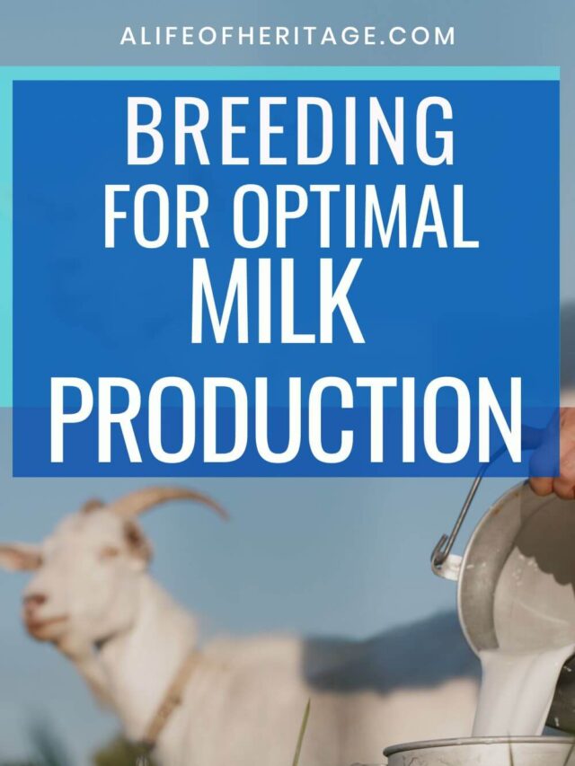 Breeding for Optimal Milk Production