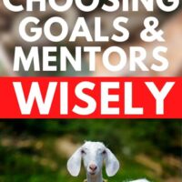 when making goals and choosing mentors, choose wisely