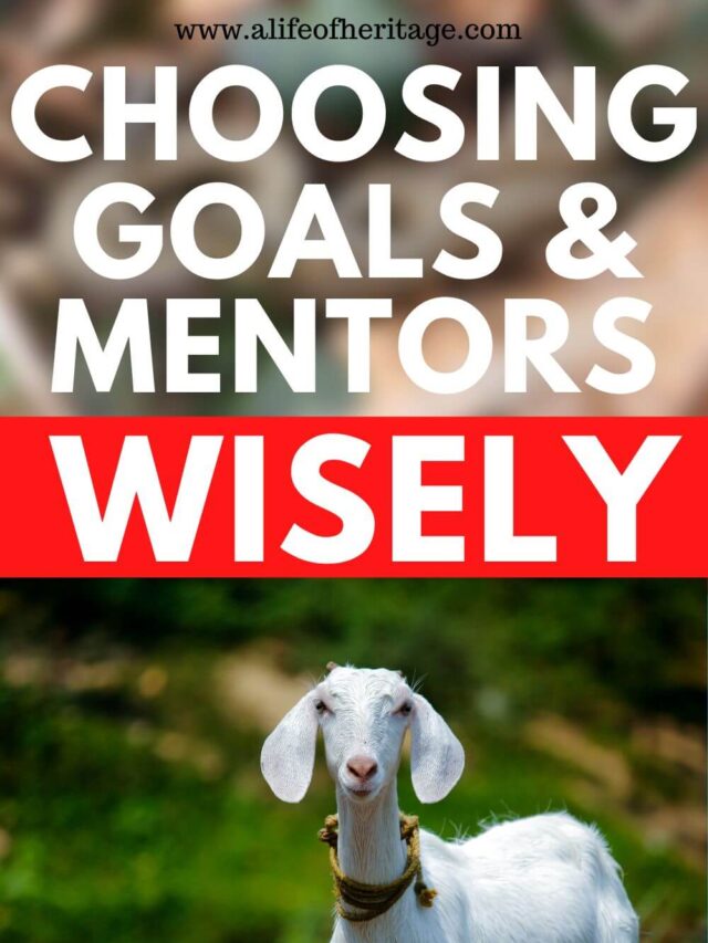 Choose your goat goals and mentors wisely