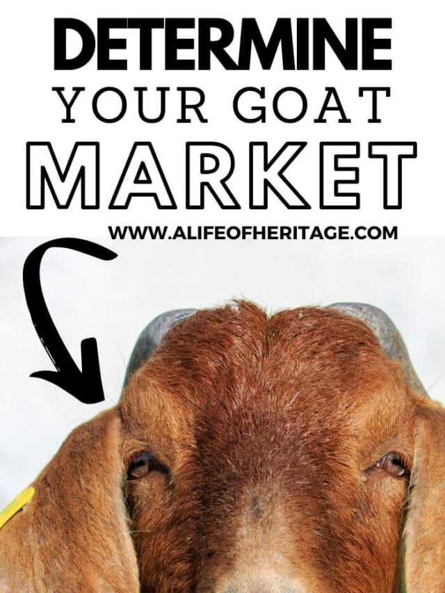 Determine your goat market