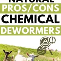 you need to know the pros and cons of natural vs chemical dewormers