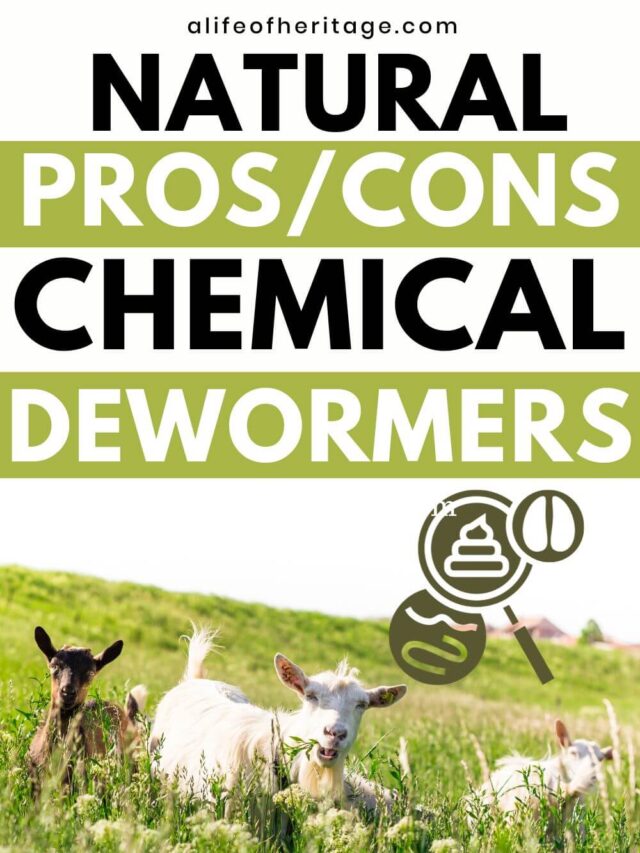 Pros and Cons of both natural and chemical dewormers for goat