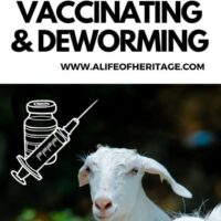 cropped-vaccinating-and-deworming-816-VPH.jpg